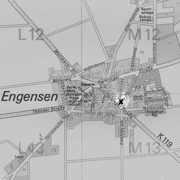map 3 (grey scale)